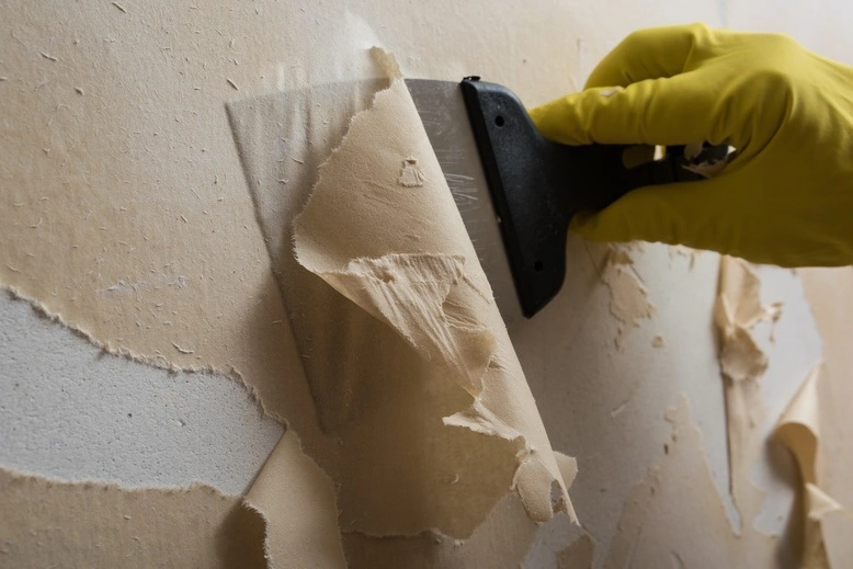 Professional wallpaper removal